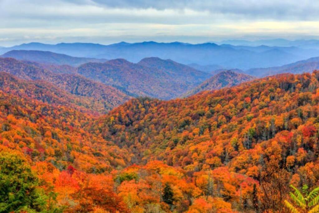 Cabin-N-Smokys! Indoor Resort Pool Views Hot Tub Game Room Sevierville Εξωτερικό φωτογραφία